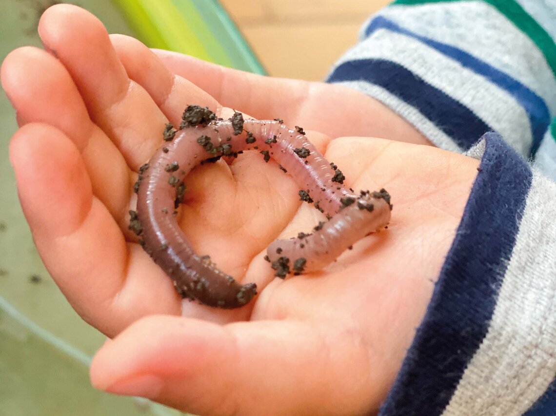 Was krabbelt denn da? : Beitrag CECILIE 03/25